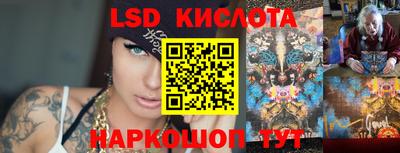 прущие крисы Шелехов