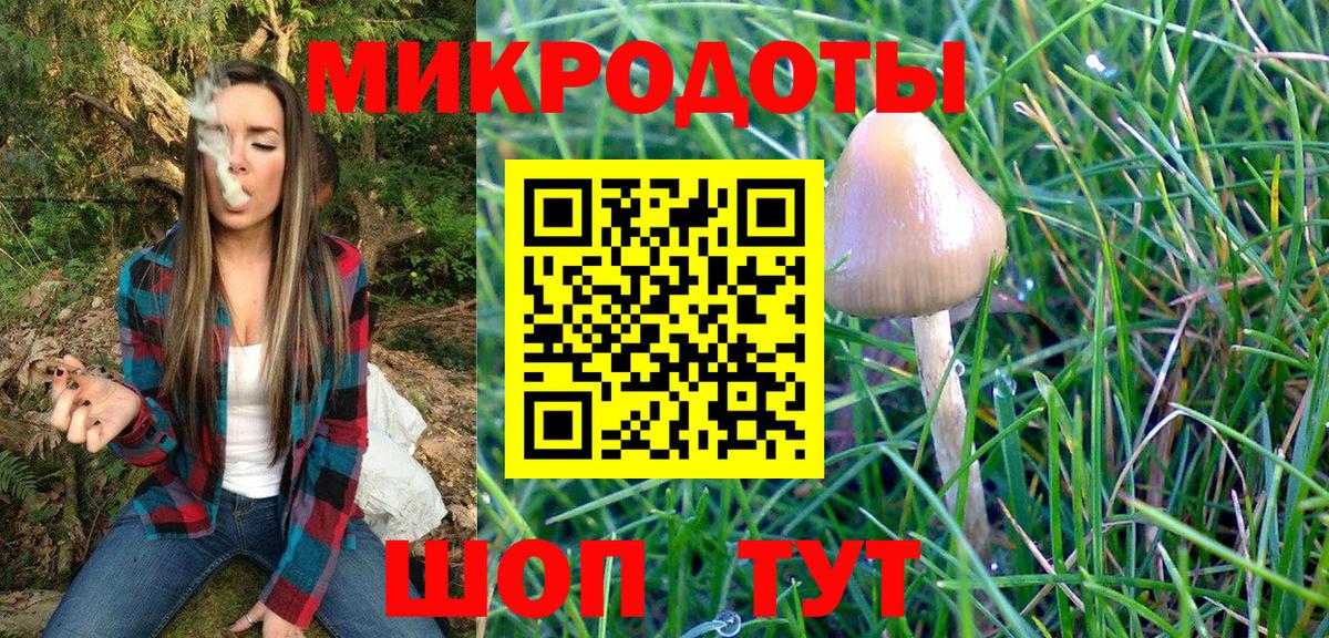 Галлюциногенные грибы Psilocybe Белово