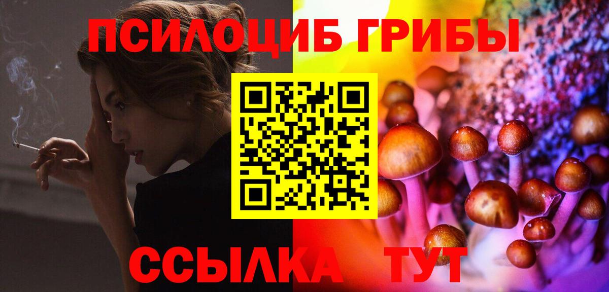 Белово  Галлюциногенные грибы Cubensis  Вход с VPN 